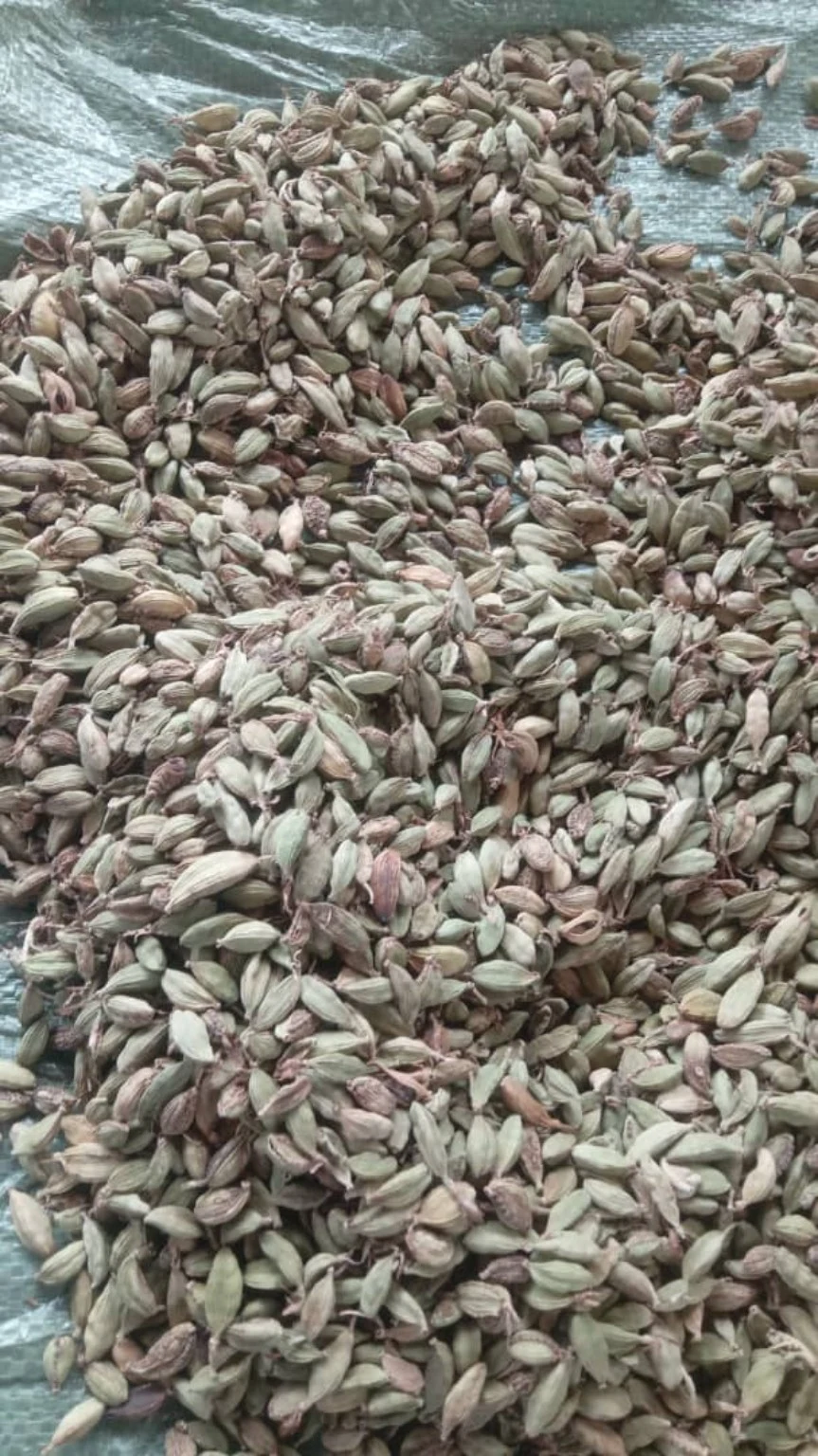 Dried brown cardamom