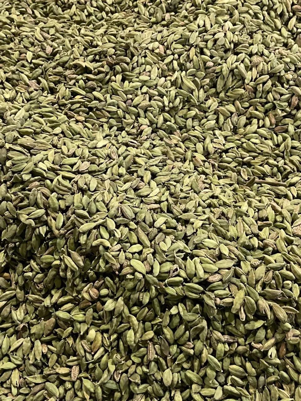 Fresh green cardamom