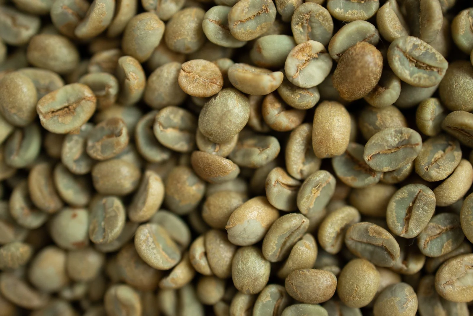 Dried green coffee beans