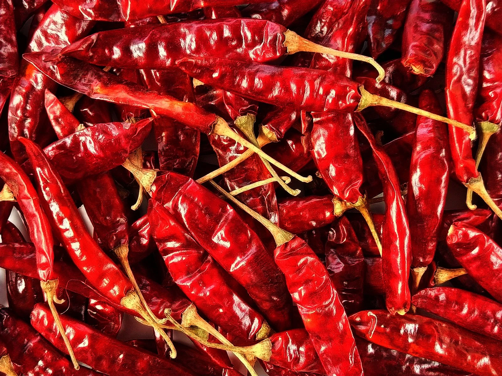 Dried red chillies